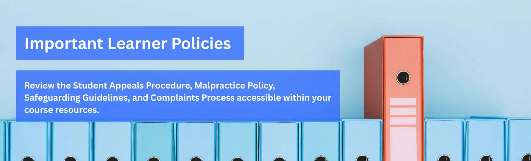 Important Learner Policies